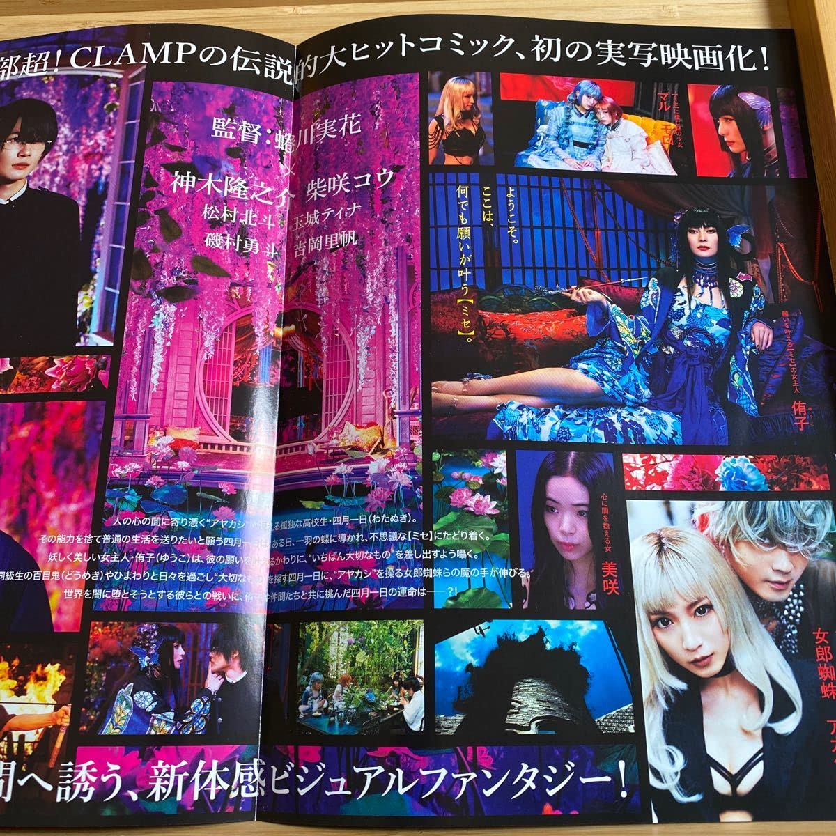 Amazon.co.jp: ホリック HOLIC 劇場版 映画 チラシ フライヤー 約18