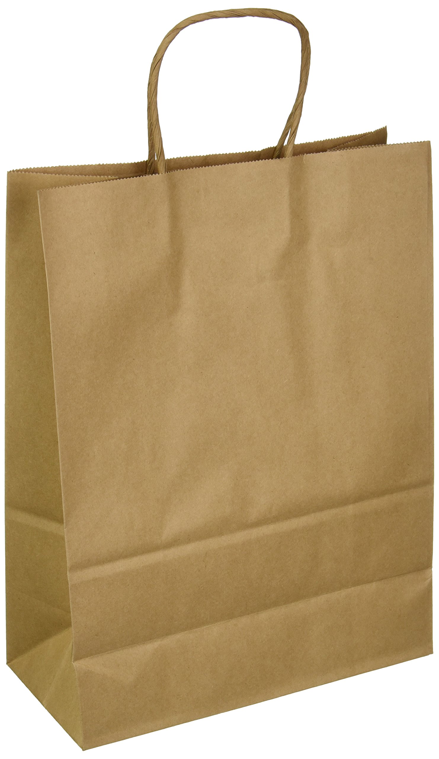 Sacs en papier kraft 24,8 x 32,4 cm Darice pour emballage et loisirs (lot de 10)