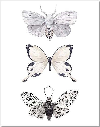 Butterfly Wall Art - Black & White Butterflies Decor - Watercolor Art Print - 11x14  Unframed Poster