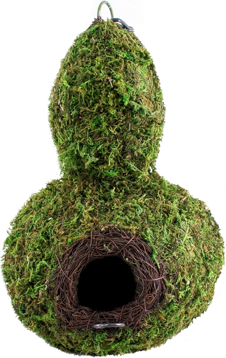 SuperMoss (56011) Gourd Birdhouse with Chain, 7.5 by 12-Inch, Fresh Green