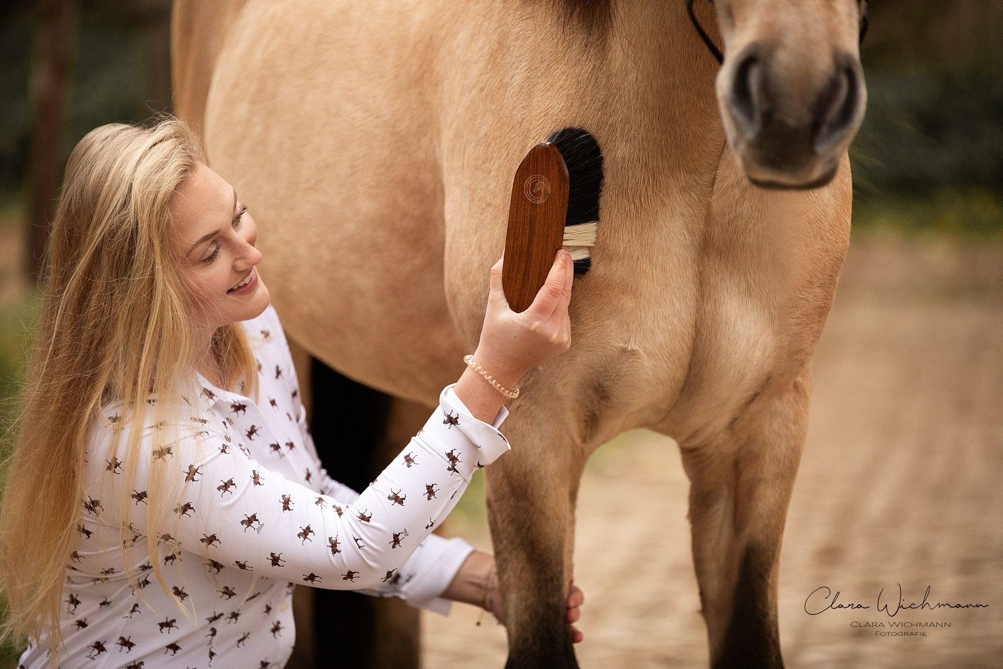 Brosse cheval en crin naturel – Brosse de pansage avec poils denses et poignée ergonomique en bois, pour poussière, saleté et pelage