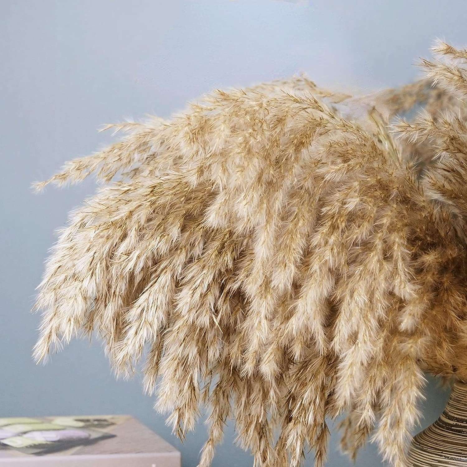 Décor d'herbe de pampa séchée, Grand herbe de Pampas moelleuse brune, herbe pompeuse sèche, décor de fleurs de mariage, Bouquet de fleurs naturelles, décoration de salle, Vase d'herbe de Pampas(5pcs)