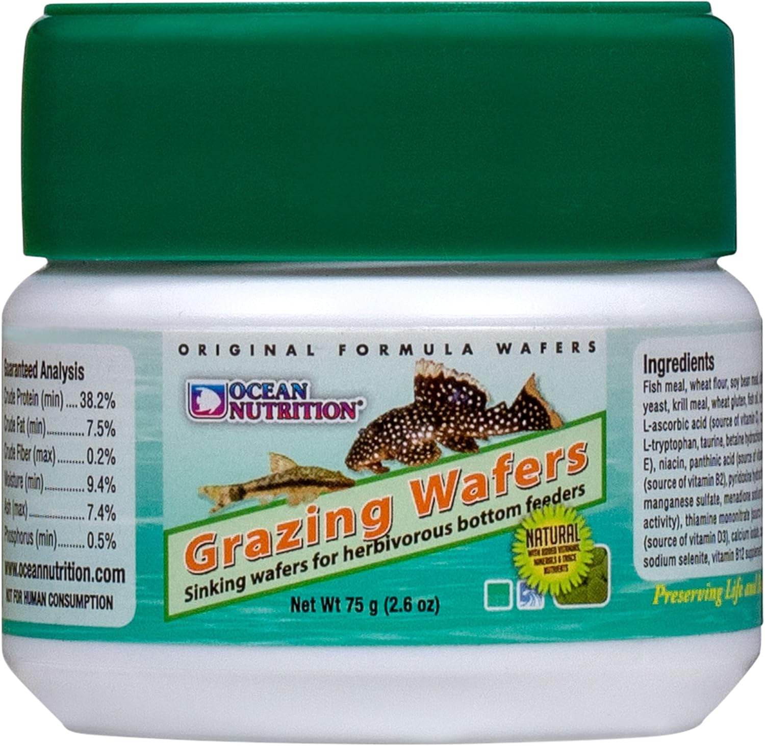 Ocean Nutrition Algae Wafers, Tropical Fish Food, Pleco