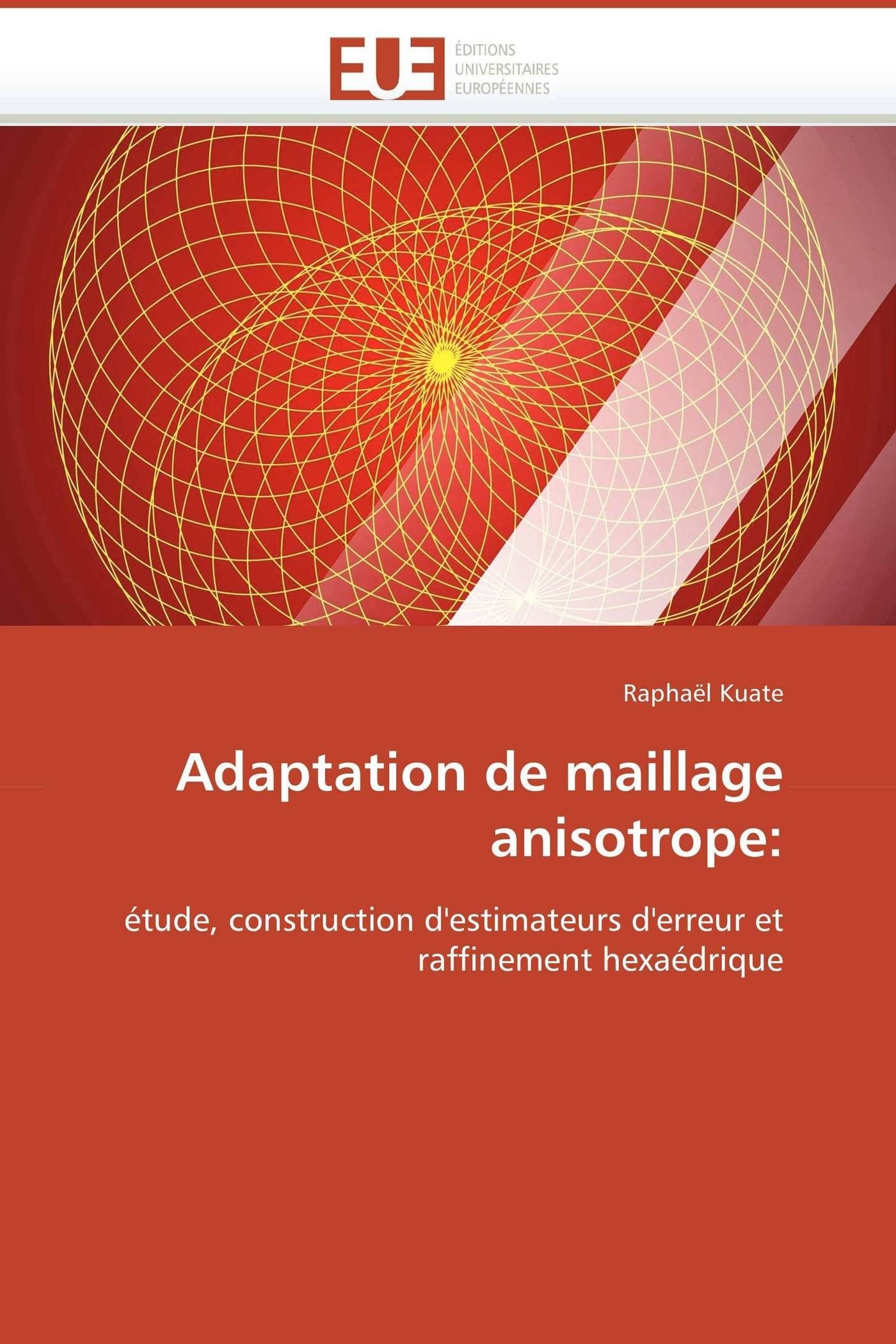 Adaptation de maillage anisotrope:: étude, construction d'estimateurs d'erreur et raffinement hexaédrique (Omn.Univ.Europ.)