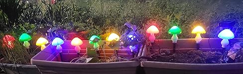 Review Image by Rena Rena