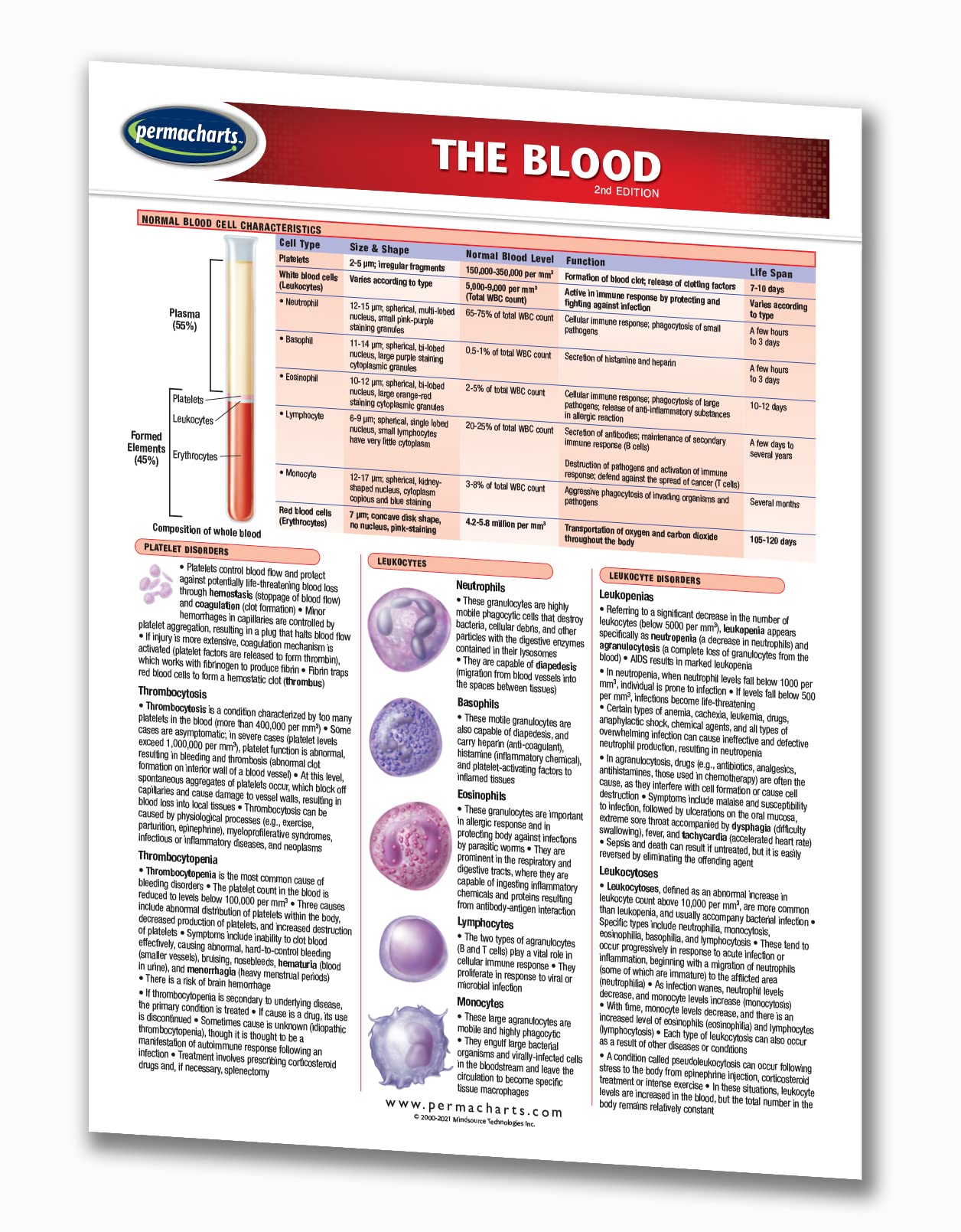The Blood - Human Blood Guide - 8.5" x 11" Laminated Medical Quick Reference Guide by Permacharts