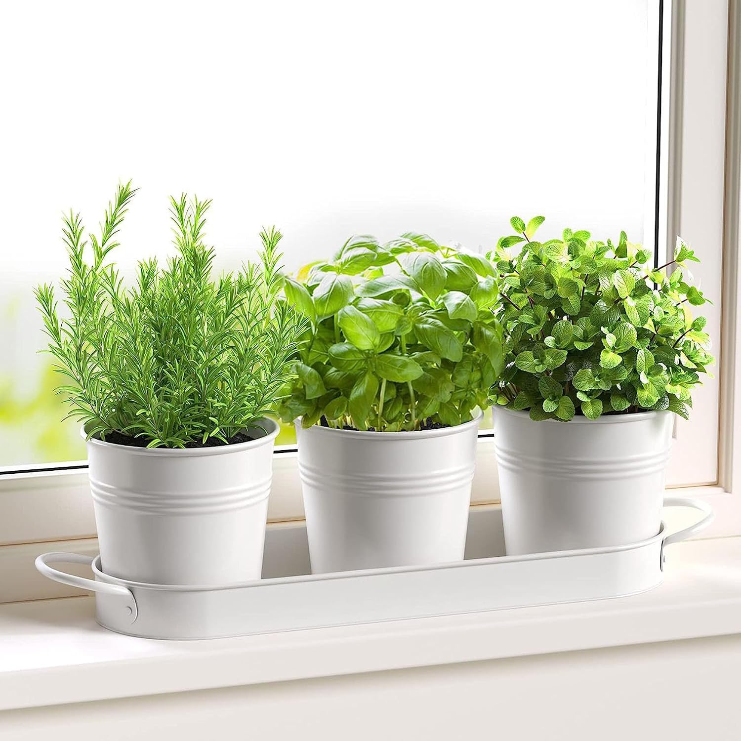 Set of 3 White Herb Planter Indoor, Herb Pots for Kitchen Windowsill, Decorative Metal Potted Planters, Suitable for planting flowers and grass and organizing small household items