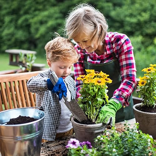 Miniatura 6 de Paleta de mano de pala de jardín, herramientas de mano de jardinería de acero inoxidable, pala de pala para plantar, trasplantar, deshierbar, excavar