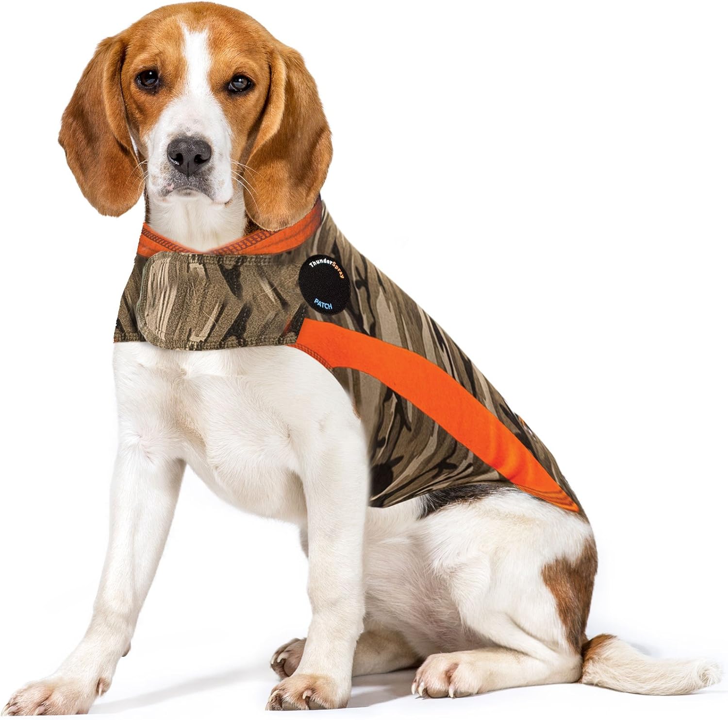 What Is The Best Anxiety Shirt For Dogs