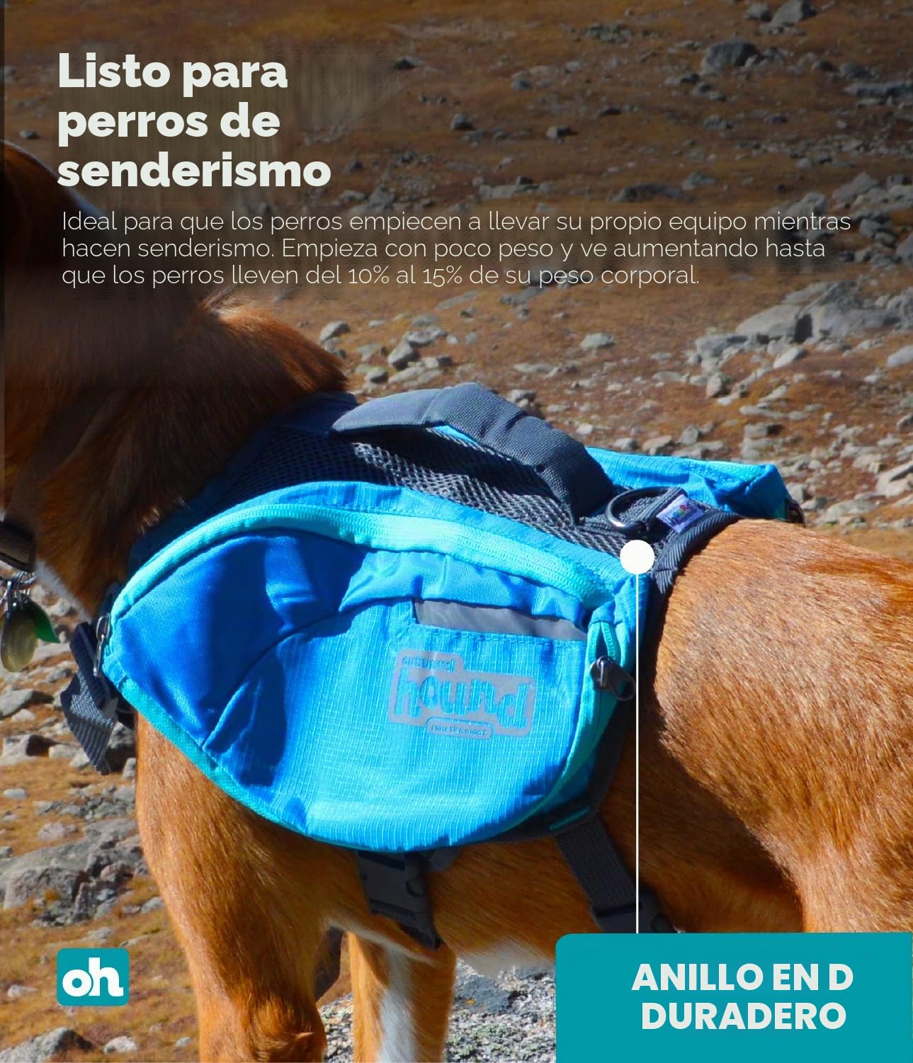 Outward Hound Kyjen 22005 DayPak Dog Backpack Adjustable Saddlebag Style Dog Accessory, Large, Blue