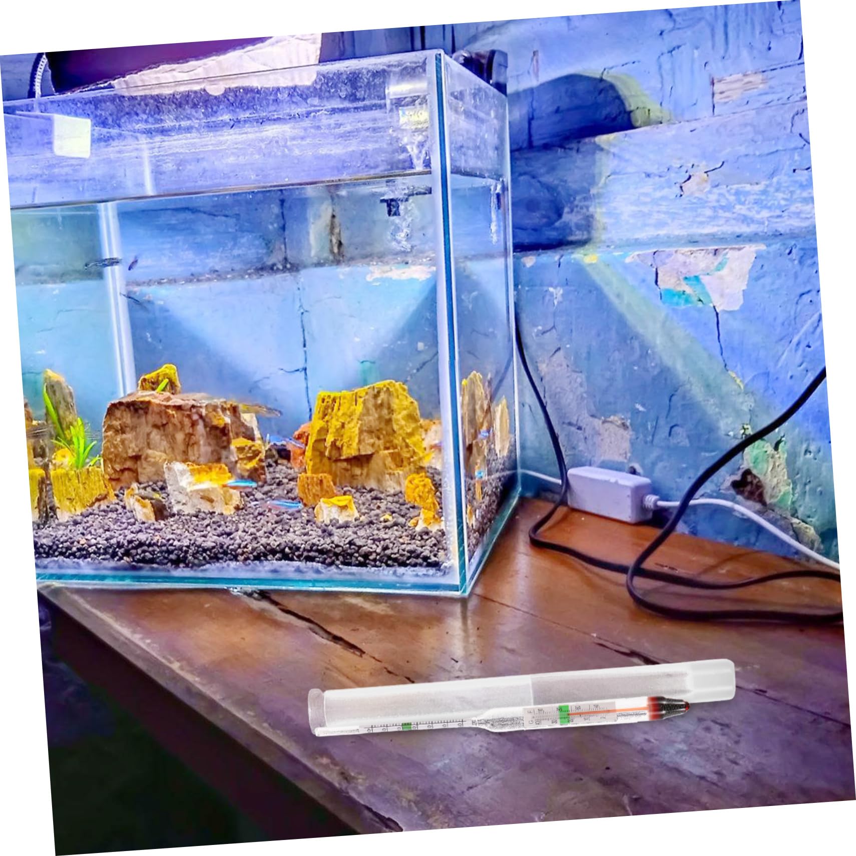 POPETPOP 4 Set di Misuratore di Densità per Acquario di Acqua Marina Idrometro per Acquario Idrometro per Acquario Marino Idrometro per Acquario Tester per Acquario Sale Plastica