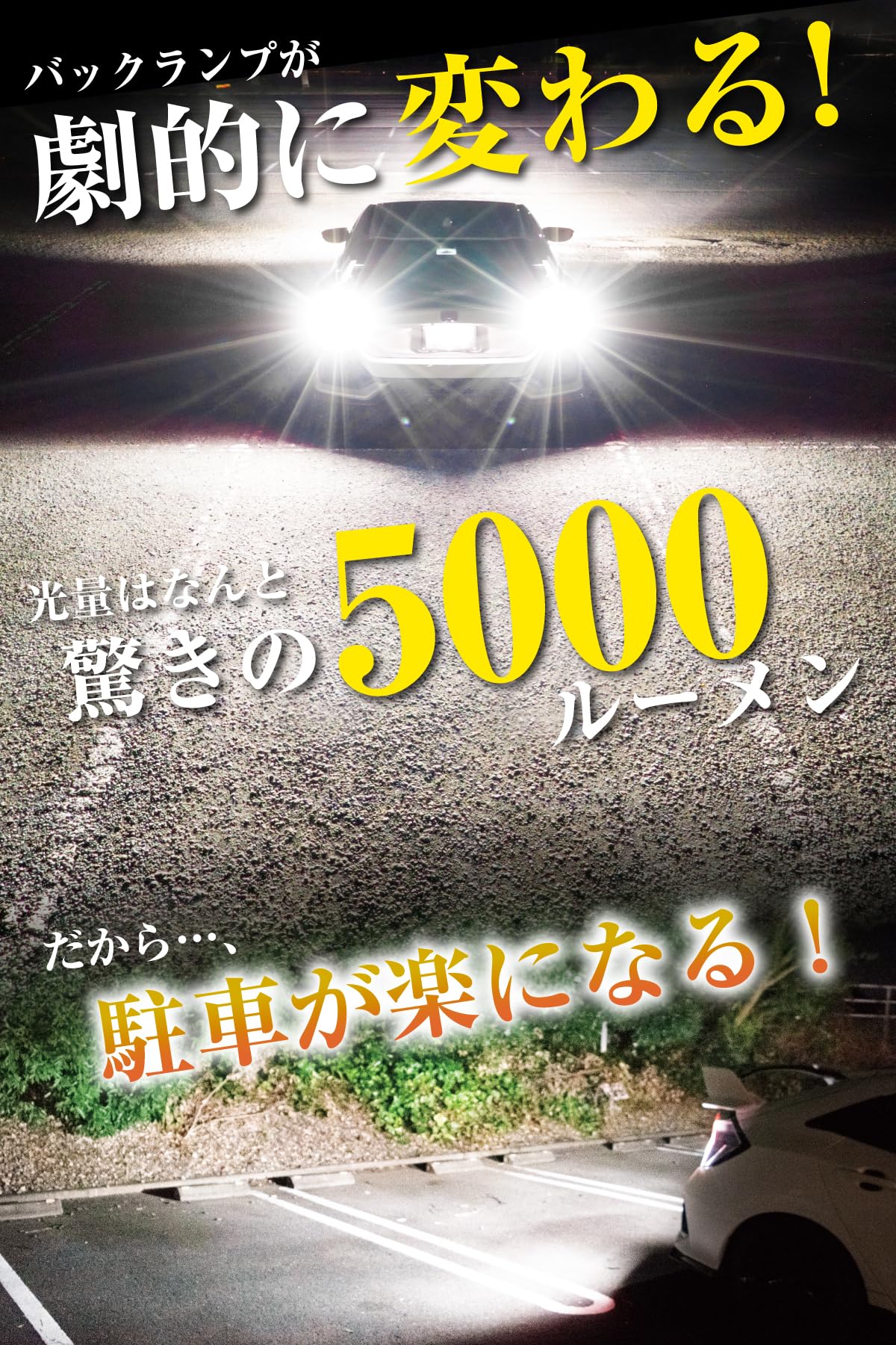 Amazon | ぶーぶーマテリアル 【所ジョージの世田谷ベース掲載】 T20