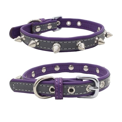 Newtensina Pinchos Collar de Perro Reflexivo Perrito Collar para Perros pequeños