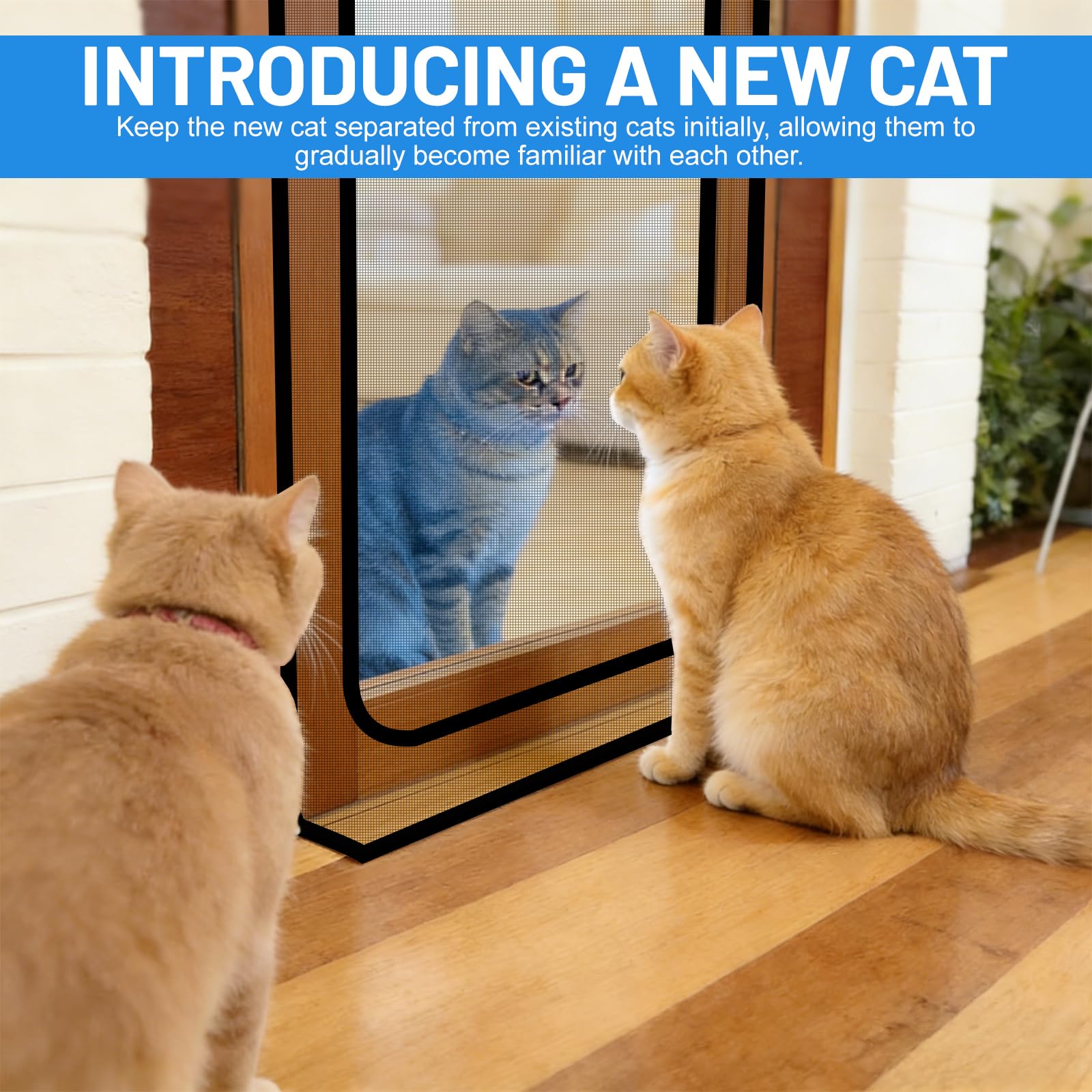 DBREAKS Schermo Porta per Gatto, Zanzariera per porta gatto a prova di graffio, Griglia di protezione gatto schermo con chiusura lampo, per soggiorno, camera da letto, cucina, terrazza, 90x210 cm