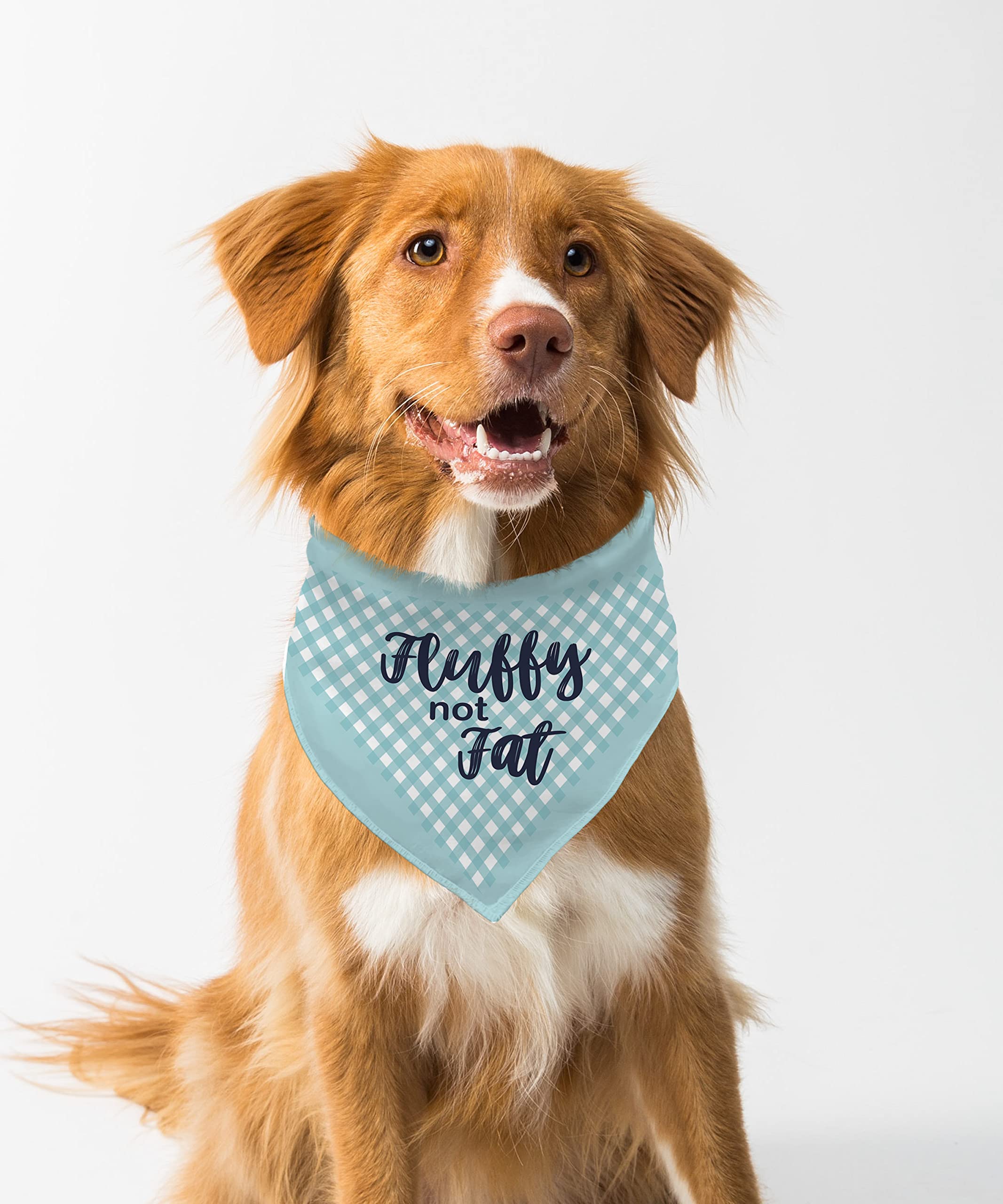 Farnup Dog Bandana | Adjustable & Comfortable, Fluffy Not Fat, Graphic Printed Bandana for Dogs | Dog Scarf, Accessory | Gifts for Dogs-M/L (B0BZMZWZLK) Amazon Price History, Amazon Price Tracker
