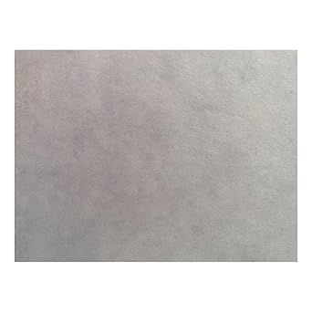 Blue Litmus Test Paper 8x10 Inch Sheet [Pack of 24]