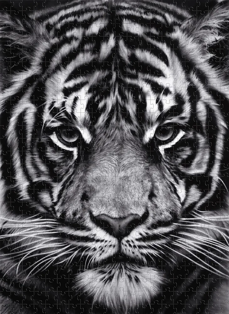 Puzzle Adulte 1000 pièces Tigre Noir et Blanc Difficile Jouet éducatif Anti-Stress pour Adultes et Enfants