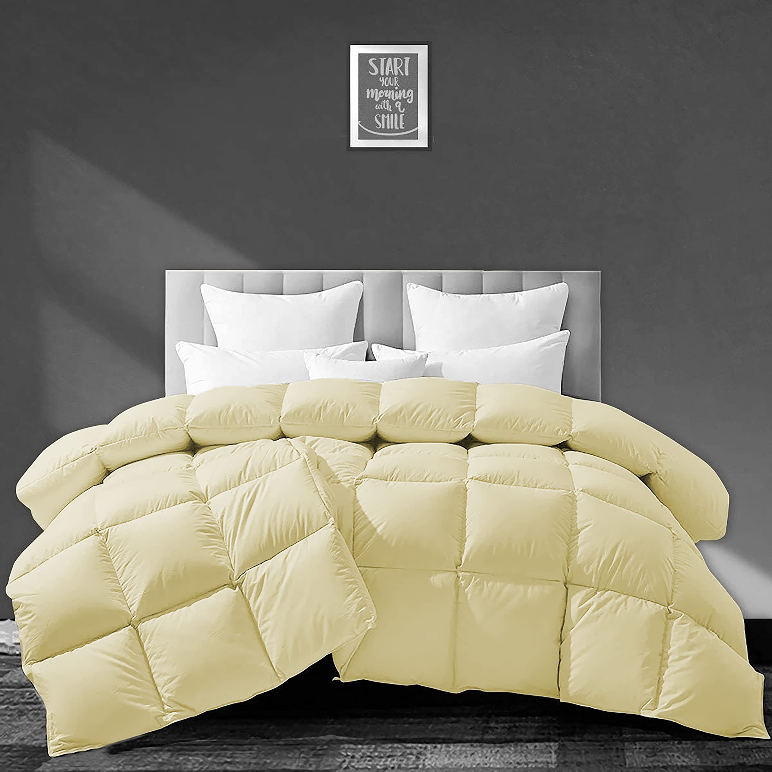 Filbert - All Season 250 GSM Comforter Super Soft Fluffy Comforter (92" x 106" Inches/233cm x 269cm) - King Size Comforter|Ivory-image-4