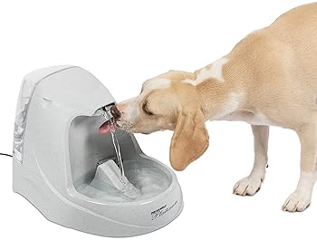 great dane water fountain
