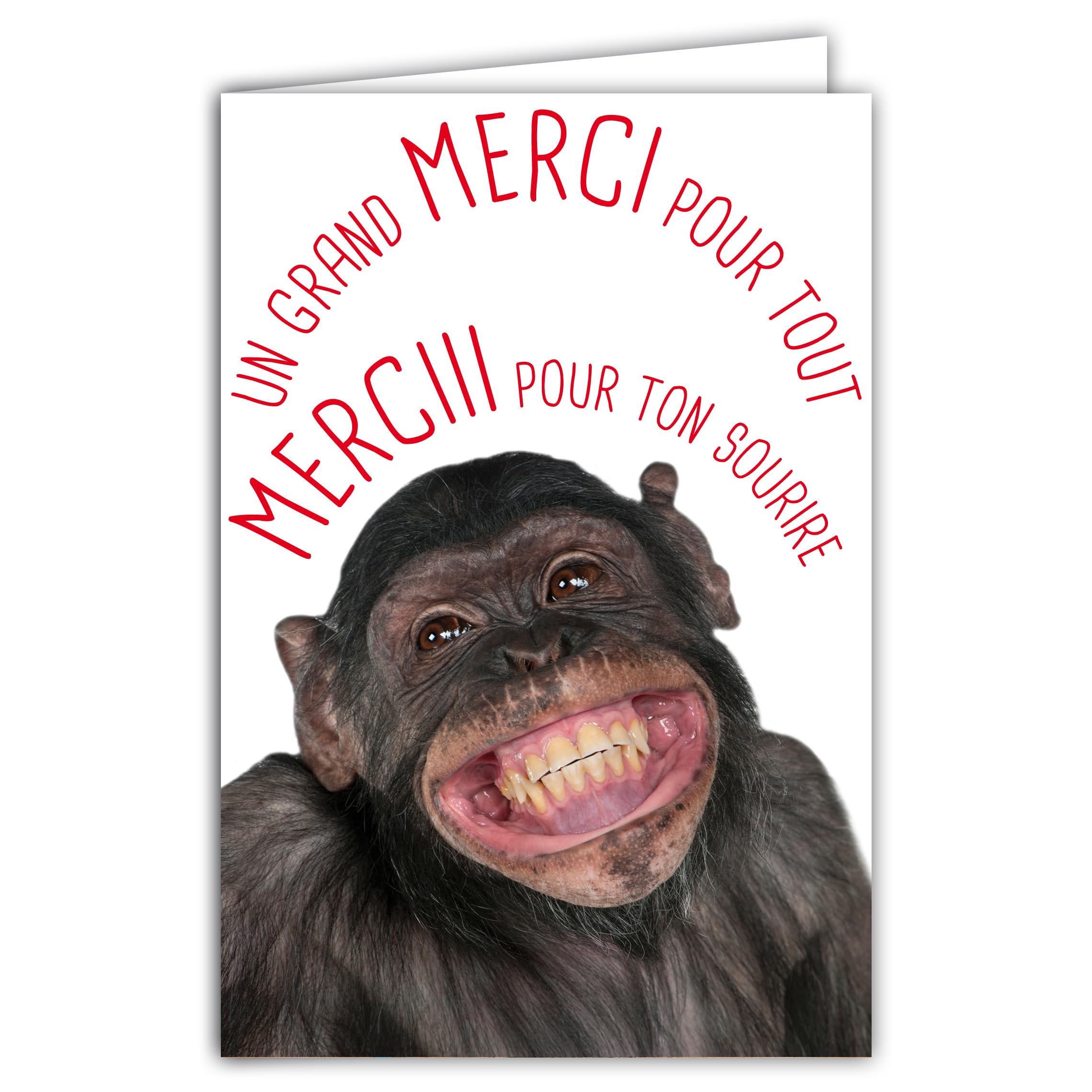 69-6222 Thank You for Your Smile Card Humorous Message with Illustrated Envelope 17.5 x 12 cm Bonobo Chimpanzee Monkey Funny Funny Funny Smiling Design Made in France
