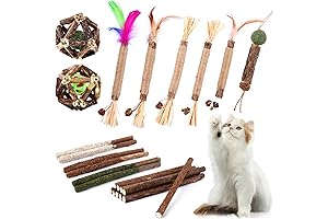 24-Pack Catnip Chew Toys: Silvervine Nirvana for Felines