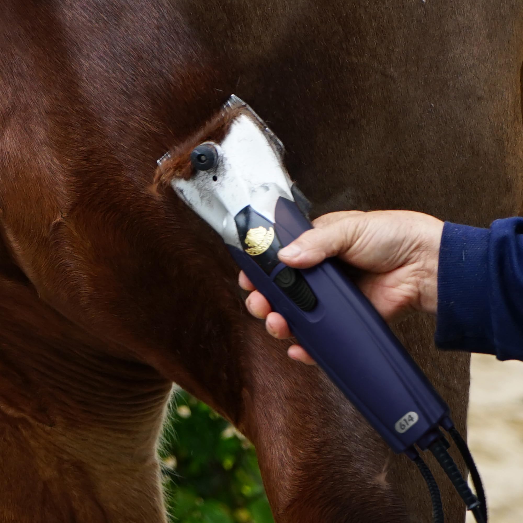 FURZONE Lame di ricambio per tagliacapelli A2 più grandi (grossolane) – 2 lame in 1 set (22 e 24 denti), lame di ricambio per toelettatura cavalli, toelettatura professionale senza stress, lunghezza
