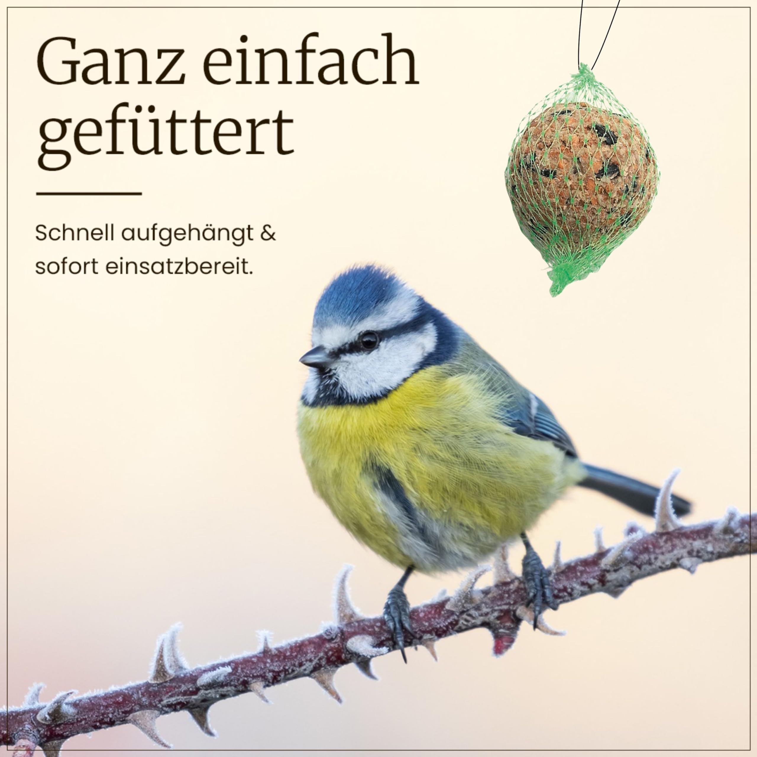 Erdtmanns Meisenknödel mit Netz 100 Stück im Eimer – Wildvogelfutter mit Getreideflocken & Sonnenblumenkernen – für Ganzjahresfütterung – geeignet für Meisen & Co. – wiederverwendbar