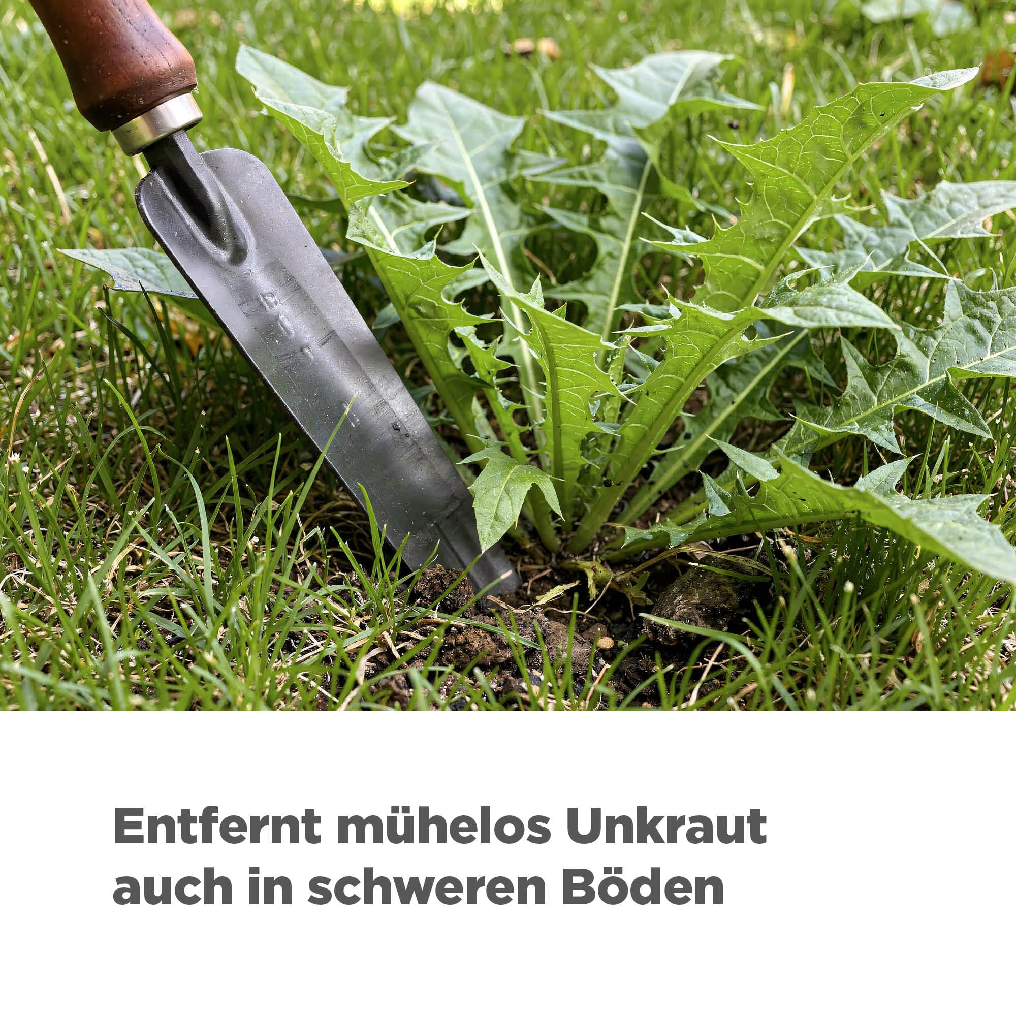blizz-z Unkrautstecher - Länge: 102 cm, Blattlänge: 22,5 cm - 1 Stück