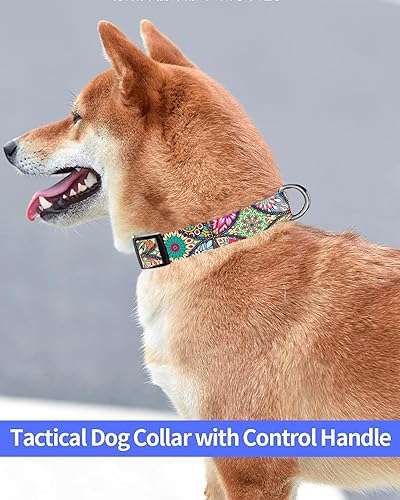 Miniatura 3 de Collar de perro, lindo collar de perro para perros pequeños, medianos y grandes, collares suaves personalizados ajustables para mascotas con hebilla