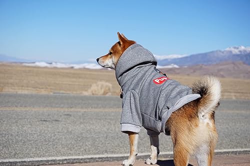 Miniatura 3 de ChoChoCho Sudadera con capucha para perro, suéter para perro, ropa de moda para perro, ropa para mascotas, sudaderas con capucha de algodón para
