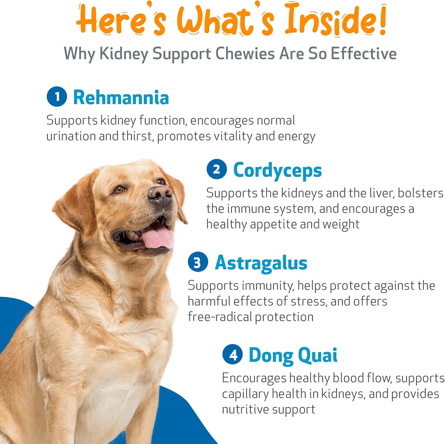 Pet Wellbeing Kidney Support Chewies for Dogs - Vet-Formulated - Supports Healthy & Stable Kidney (Renal) Function, Normal Fluid Balance & Energy Levels, Rehmannia, Astragalus - 90 Soft Chews