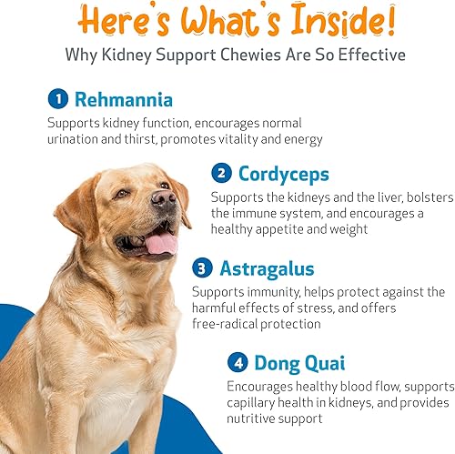 Miniatura 5 de Pet Wellbeing Soporte renal Gold para perros – Apoya la función renal saludable, equilibrio de líquidos, niveles de energía, Rehmannia, Dong Quai –