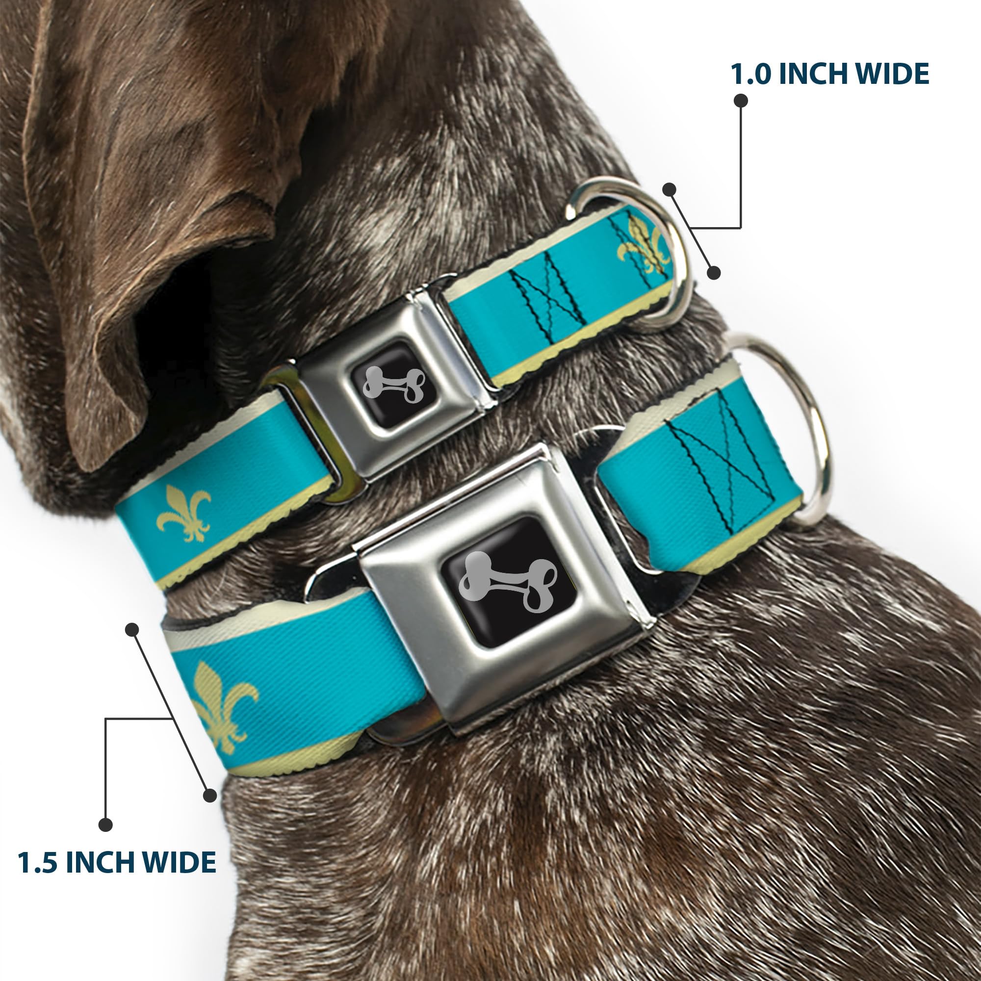 Buckle-Down DC-W30634-WS - Cinturón de Seguridad para Perro, Talla S, Color Azul, Verde Lima