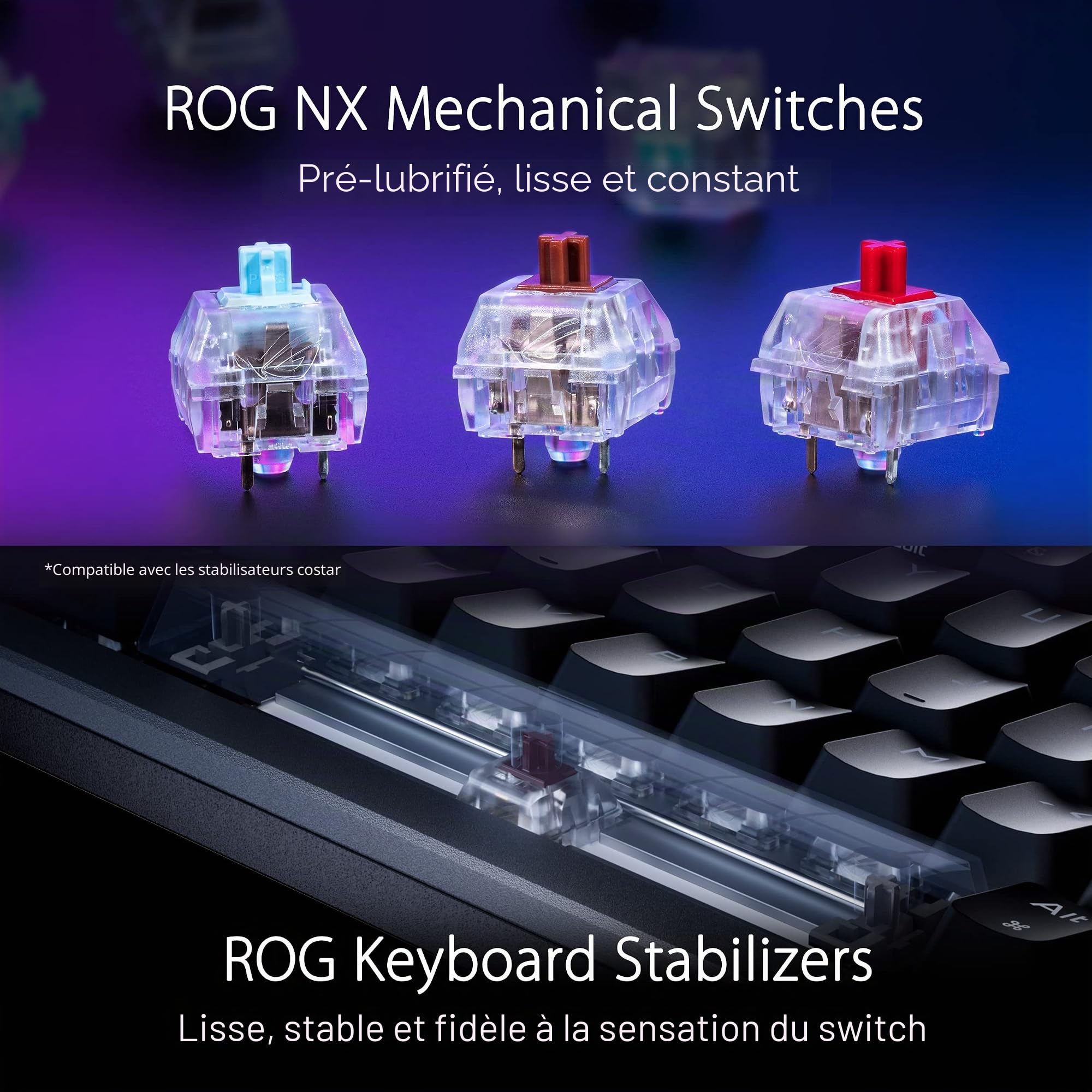 ASUS ROG Azoth - Clavier mécanique Gaming 75%, boîtier métallique, Switch ROG NX Réseau lubrifié, ABS, kit de lubrifiage, IR, BT et USB-C, écran OLED, Trois hauteurs et Compatible avec Mac - QWERTY
