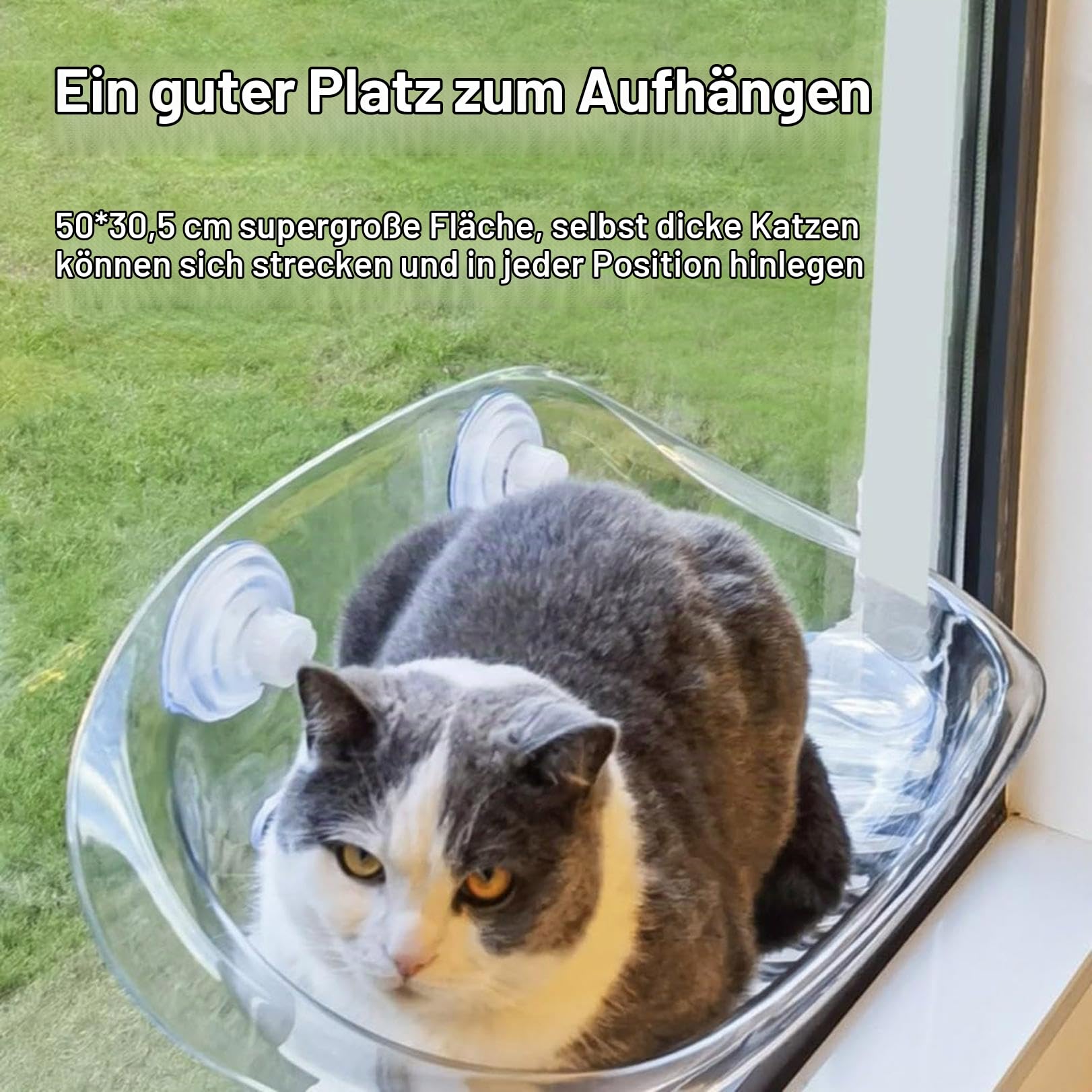 Katzen Hängematte für Fensterplätze - Sommer Abkühlen, Klappbar, 50x30cm, Stabil Saugnäpfe bis zu 10kg, Rosa (Transparent)