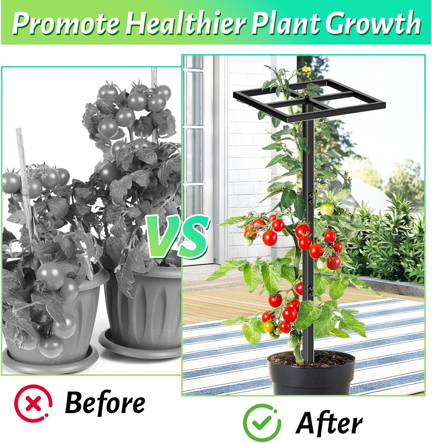 2 Pcs Metal Dragon Fruit Trellis, Durable Adjustable Dragon Fruit Stand Gardening Support for Vertical Climing Plants Trees Cactus Garden Outdoor Indoor Potted Support 8''×12''×45''