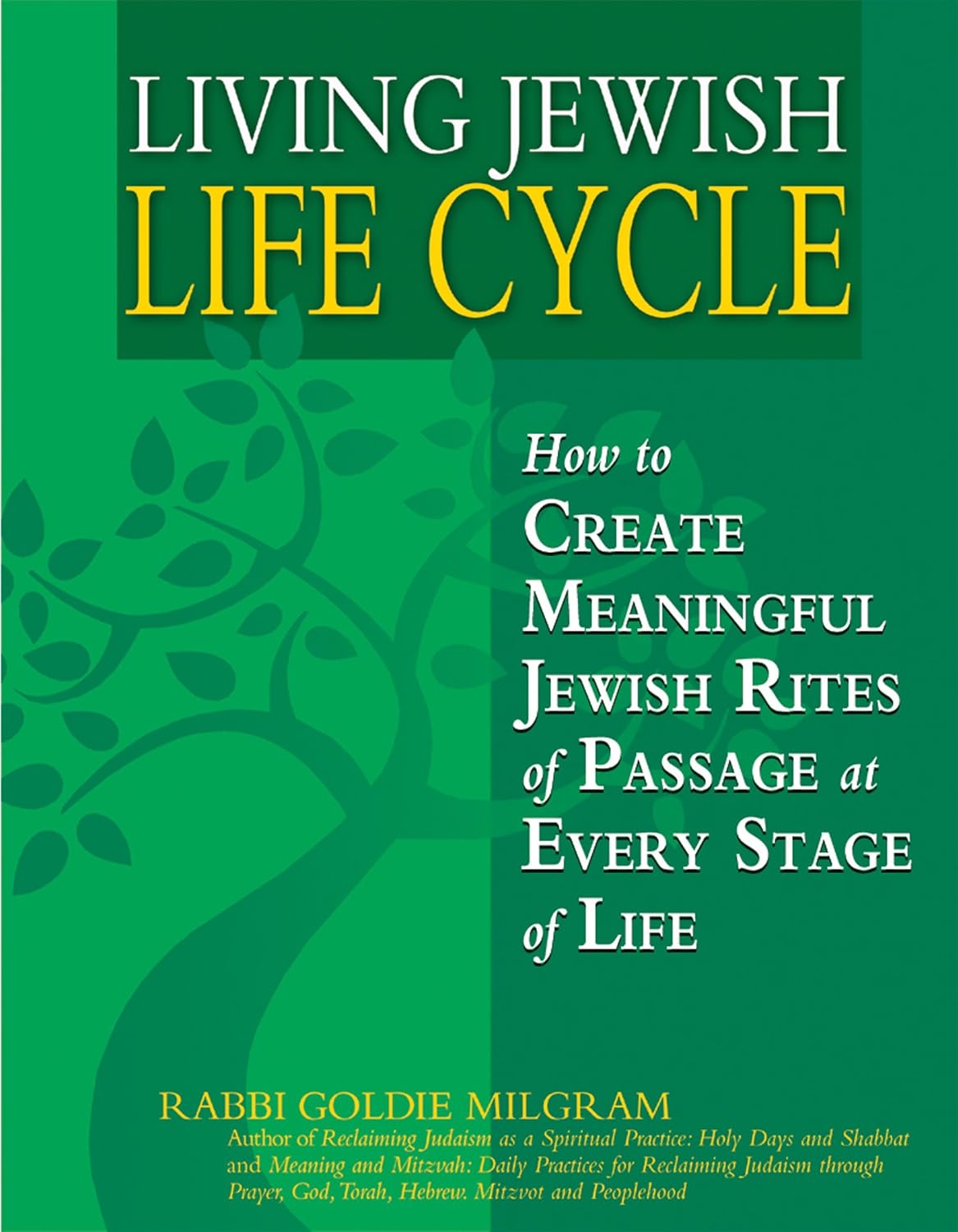 The Elder Jewish Sages Guide To A Meaningful Life - l3gvb8k
