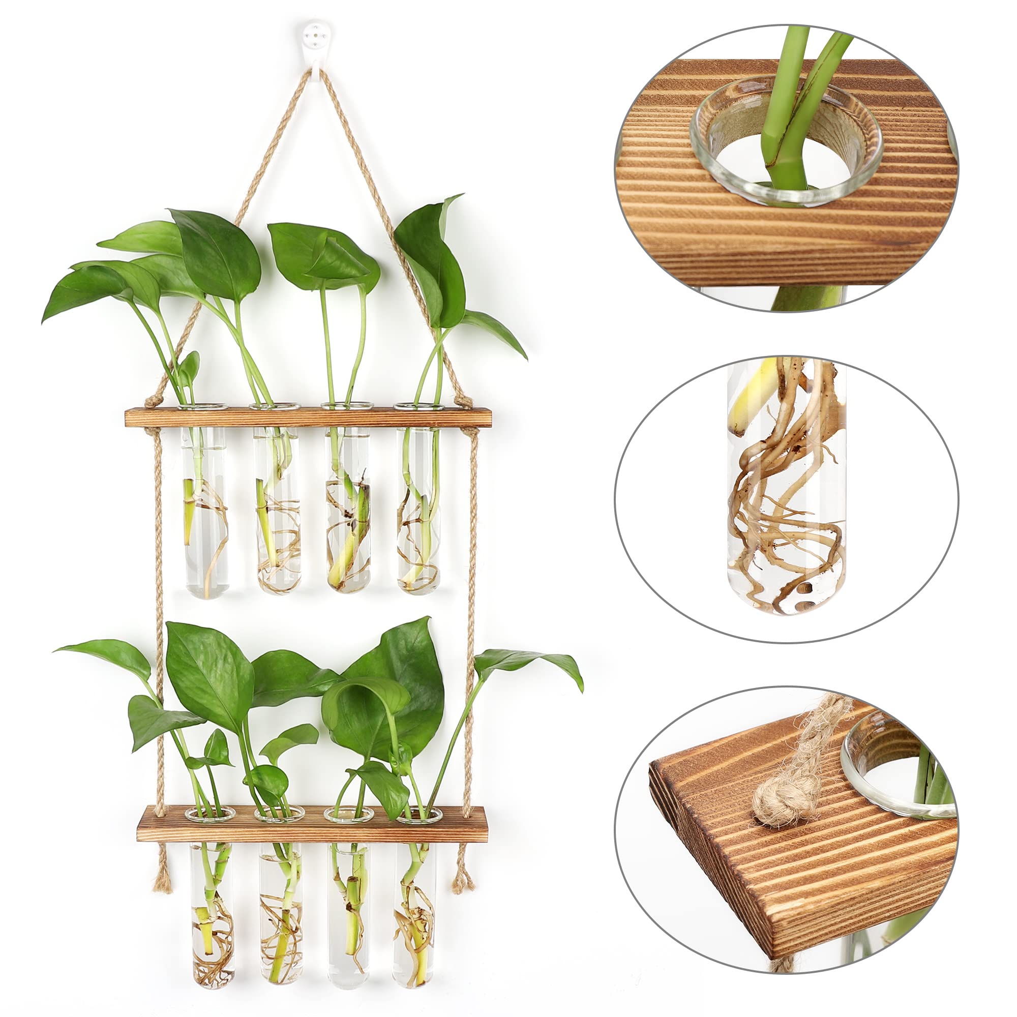 Hyindoor Station de Propagation avec Support en Bois Vase Mural 8 Tubes à Essai en Verre pour Plantes Hydroponiques