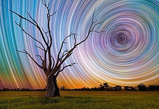 Buffalo Games - Centrifuge - 1500 Piece Jigsaw Puzzle for Adults Challenging Puzzle Perfect for Game Nights - 1500 Piece Finished Size is 31.50 x 23.50