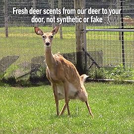 Outdoor Hunting Lab Certified Peak Doe Estrus Spray | 2 oz | 8 Bottles | Doe in Heat Urine for Hunting | Drag N Drip Included | Deer Scents