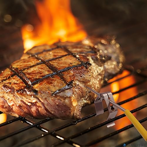 Miniatura 3 de Paquete de 6 clips para sonda de temperatura, con cuatro agujeros, para sonda universal, funciona para termómetro inalámbrico de carne, Bluetooth,