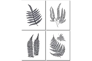 Fern Wall Art: Sophisticated Botanical Prints Embellishing Your Abode