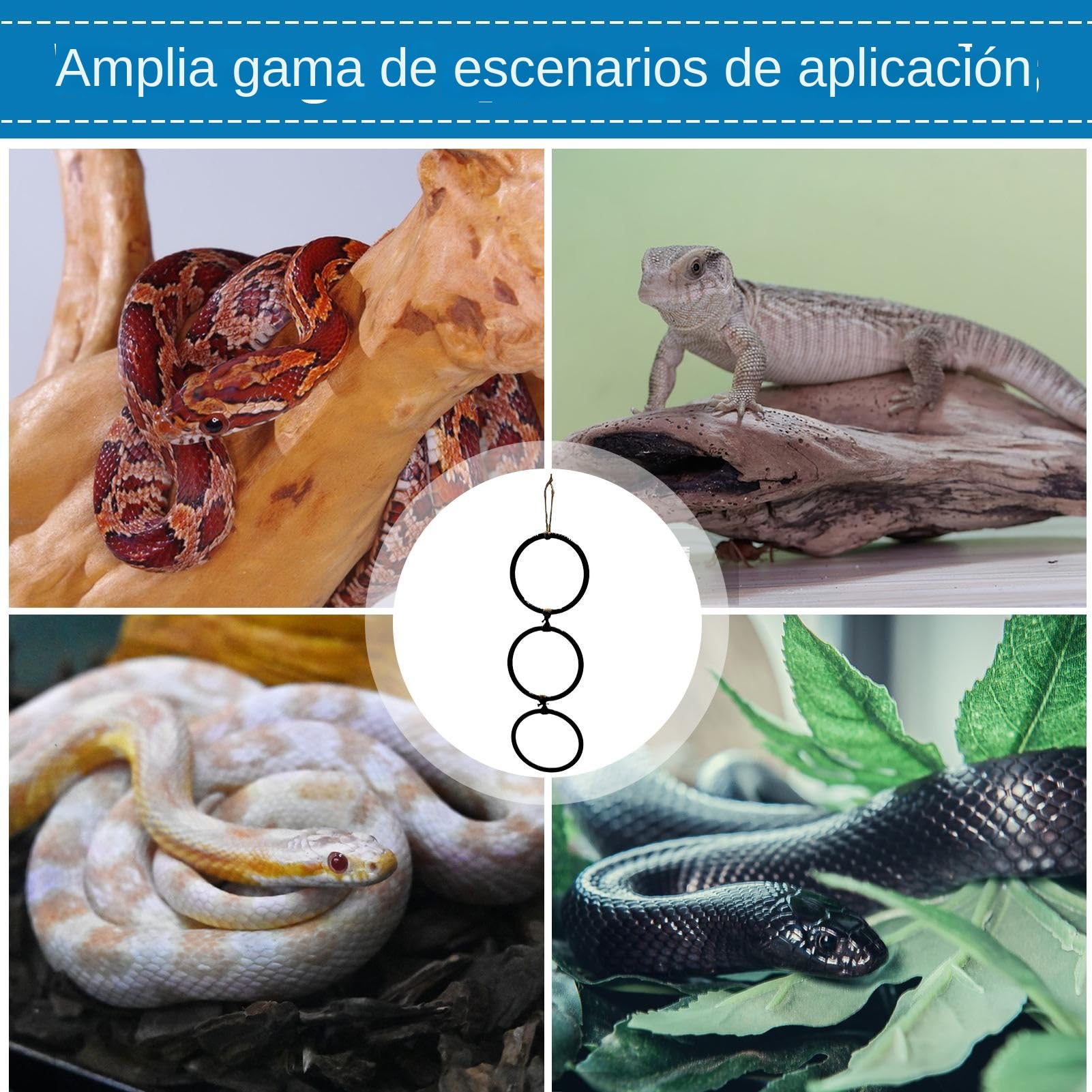 Juguetes De Enriquecimiento para Serpientes - Accesorios para Hábitat De Reptiles,con Aro Y Cadena Juego Interactivo para Anfibios Y Hábitat Interior para Mascotas