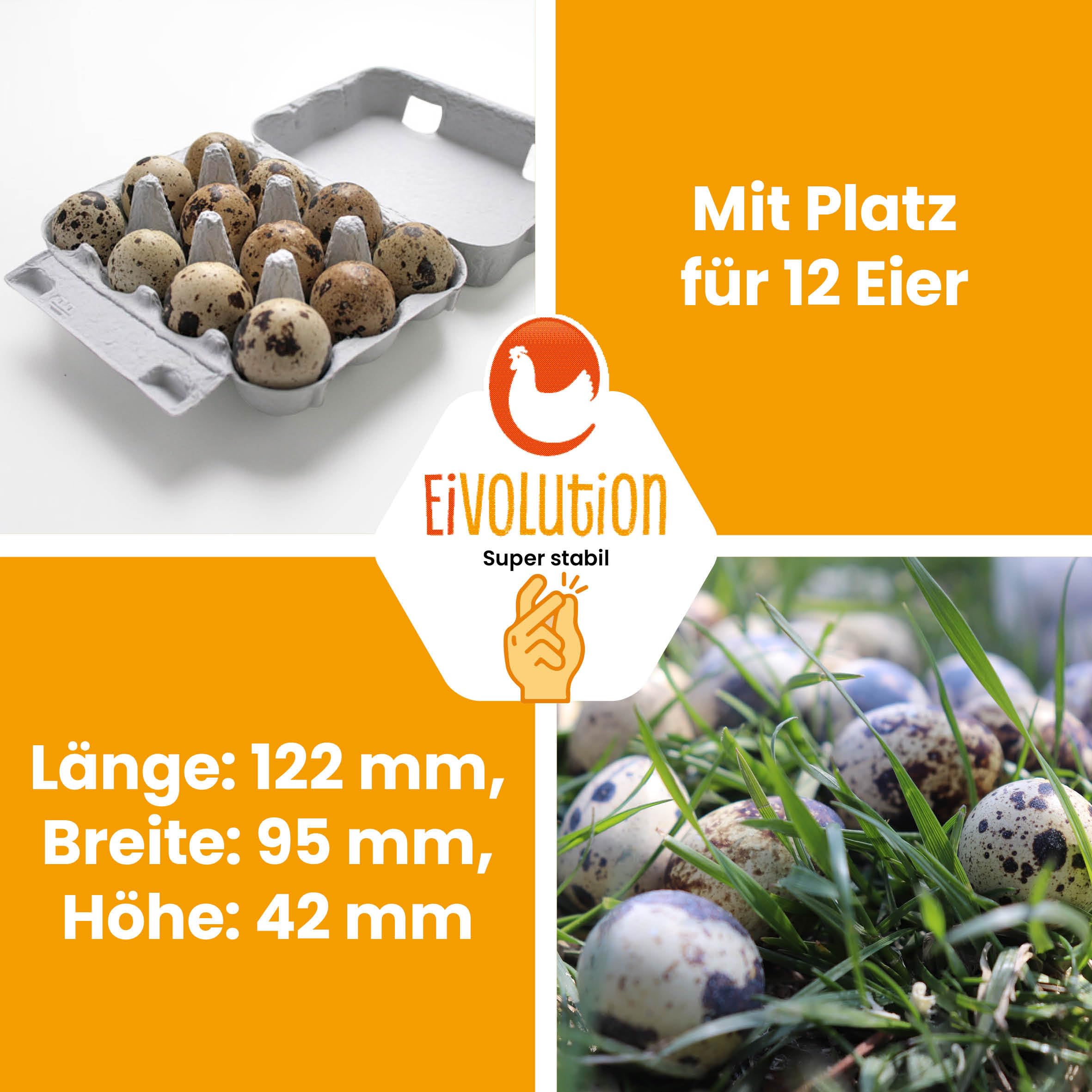 12er Wachteleierschachteln aus Pappe - 30 Stück - Eierkartons für Wachteleier aus Recycling Material