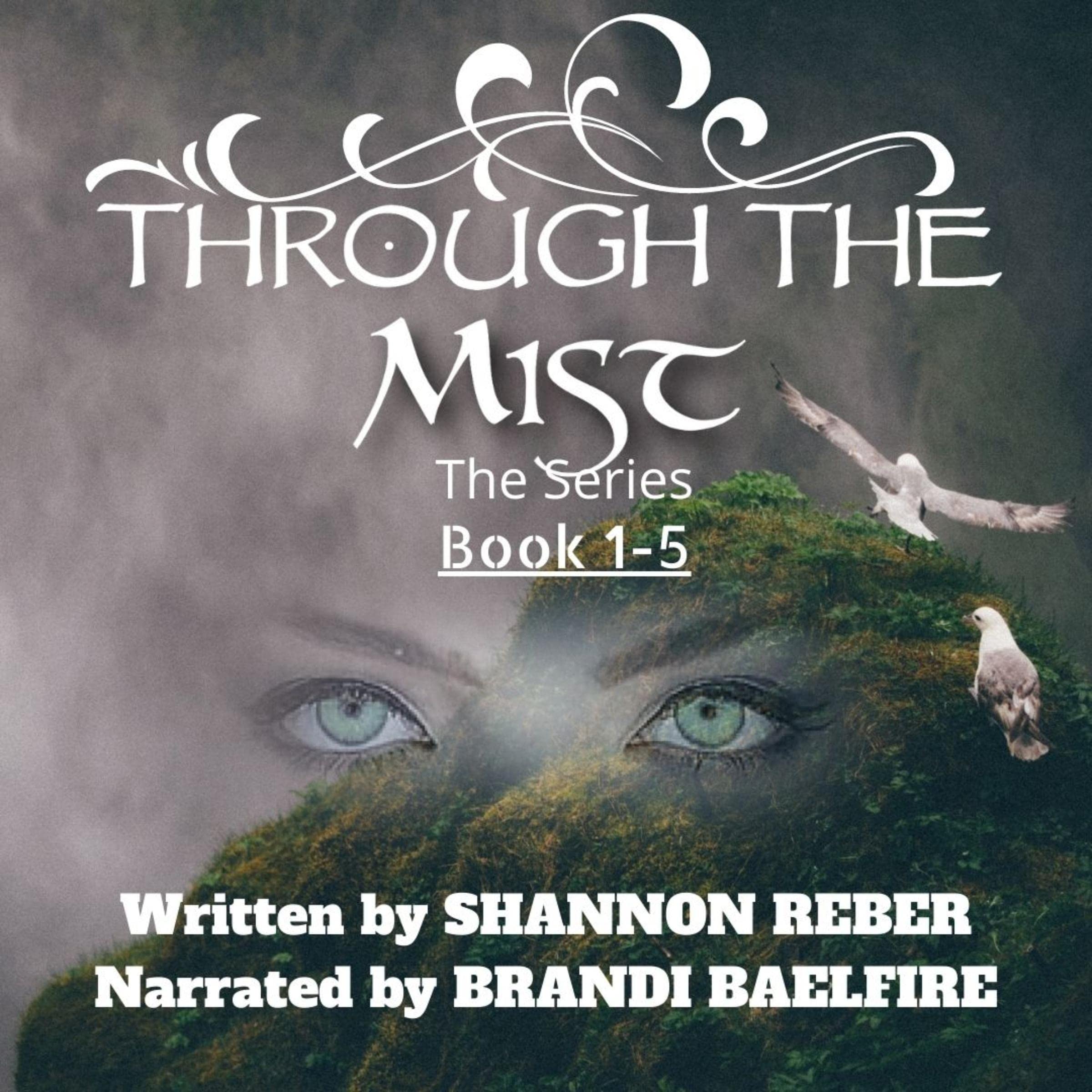Cover art for Through the Mist Series: Books 1-5