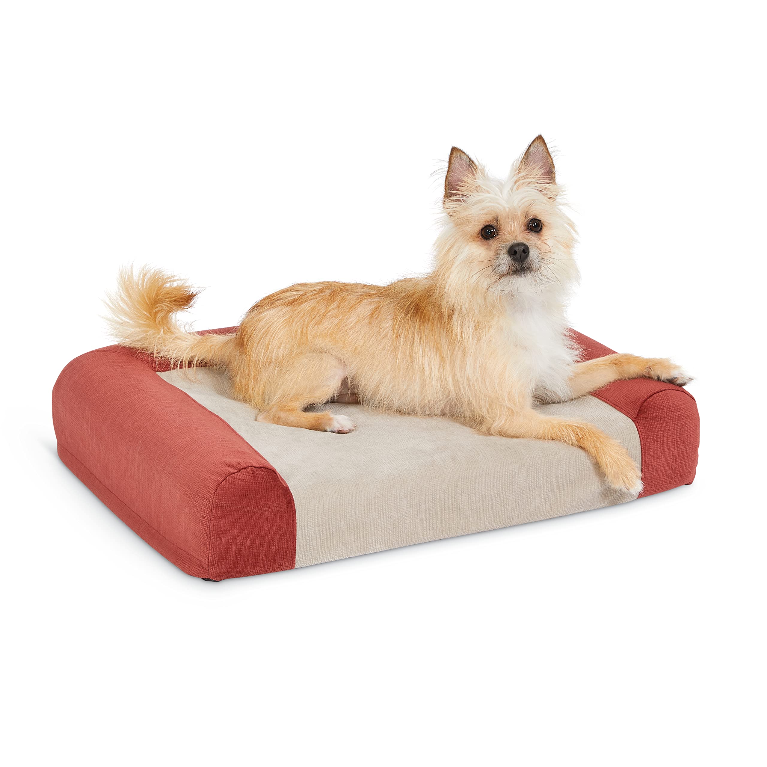 Midwest Homes for Pets Signature QuietTime Memory Foam Dog Sofa Bed, Small, Russet
