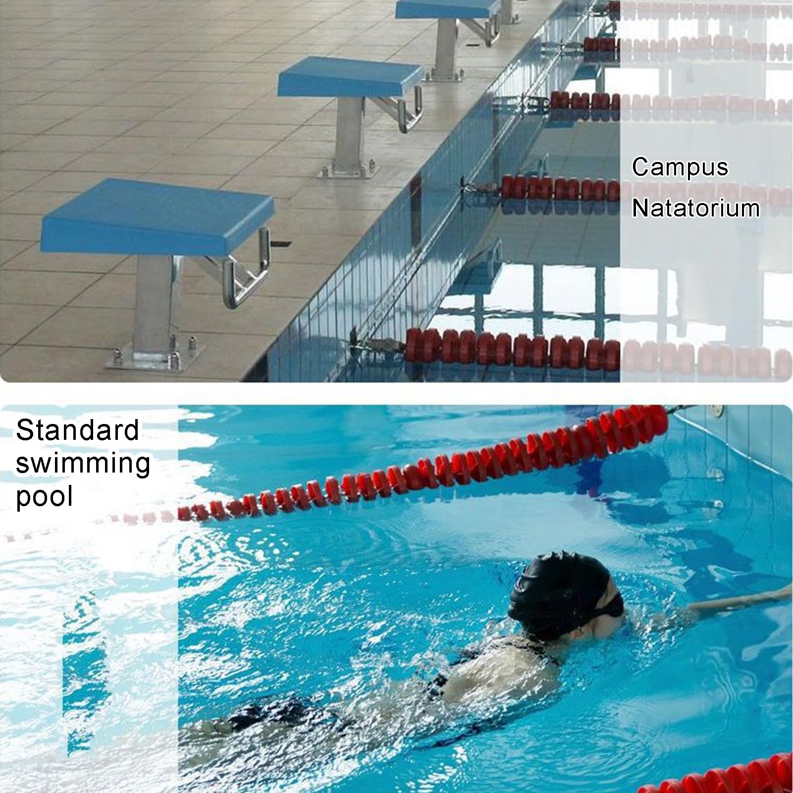 Pool Diving Board Swimming Pool Competition Swimming Pool Starting ...