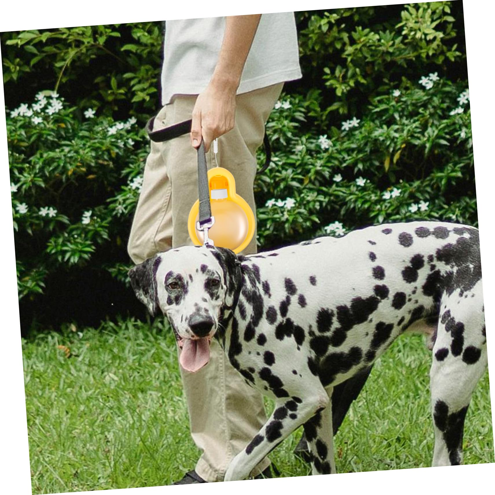 BESPORTBLE 5piezas Botella De Agua para Perros Portátil De Gran Capacidad Bebedero para Mascotas Actividades Al Aire para Caminatas y Paseos Cachorros