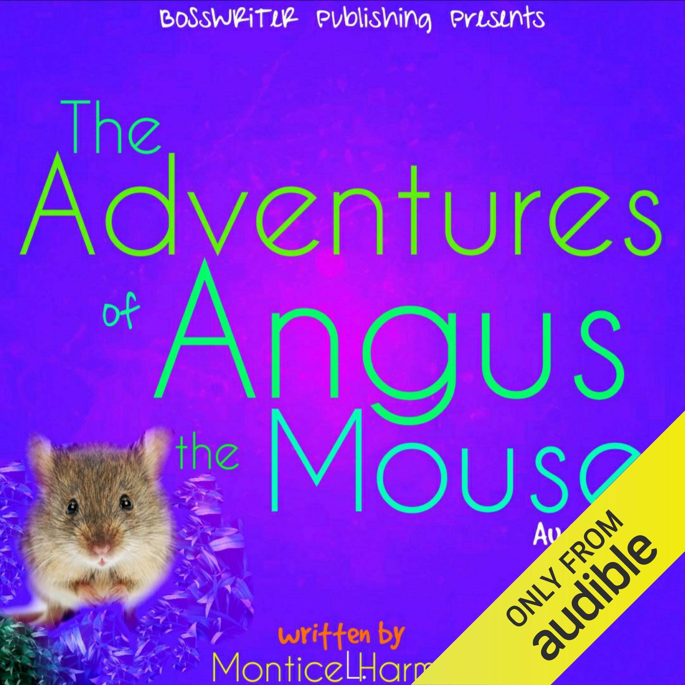 Cover art for The Adventures of Angus the Mouse