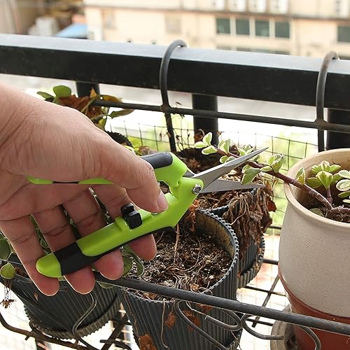 Miniatura 5 de KEILEOHO Paquete de 4 tijeras de corte de brotes de 6.5 pulgadas, podadoras de mano profesionales de acero inoxidable para jardinería, tijeras de